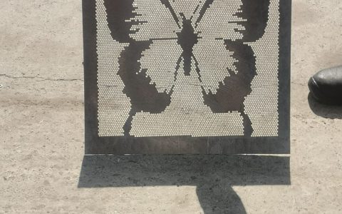 WhatsApp Image 2021-09-13 at 11.39.36